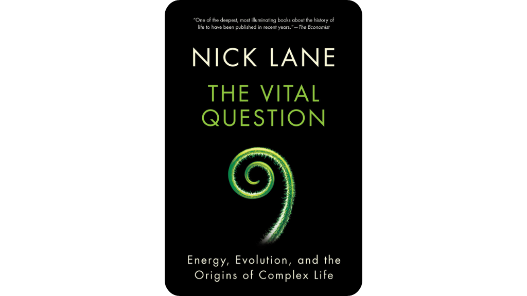 Câu Hỏi Then Chốt