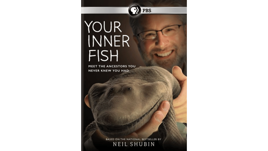 Con Cá Bên Trong Bạn